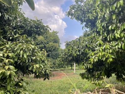 1000m2 có 15m MT, ấp 2, Bình Lộc, Long Khánh
