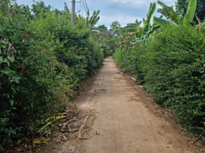 1000m2 có 17m MT, ấp Bàu Cối, Long Khánh, Đồng Nai