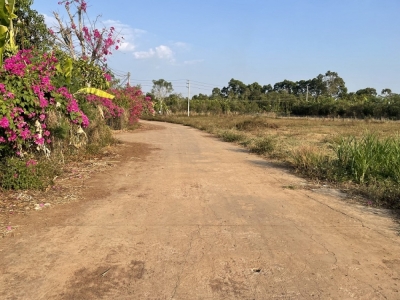 1000m2 có 31m MT, Bàu Cối, Bảo Quang, Long Khánh