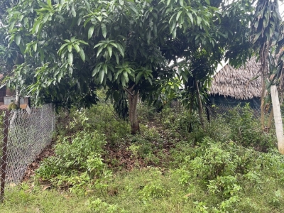 100m2 ấp 2, Bình Lộc, Long Khánh
