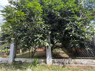 138m2  KP Suối Tre, P. Suối Tre,Long Khánh, Đồng Nai
