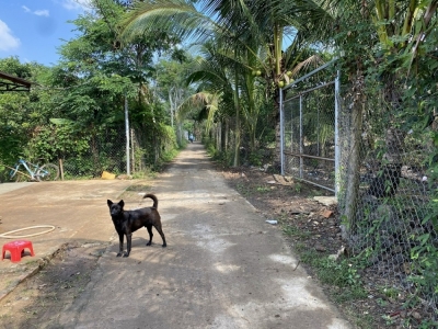 2702m2 có 40m MT,  Xuân Lập, Long Khánh