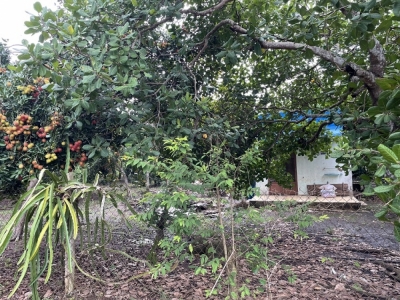 2MT 2809m2 có 150m2 thổ cư, ấp 4, Bình Lộc, Long Khánh