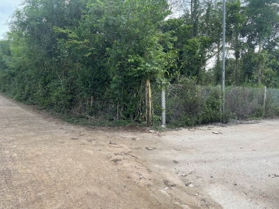 2MT 2049m2 ấp Ruộng Tre, Bảo Quang, Long Khánh