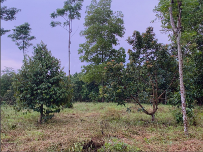 2MT 2897m2 ấp 18 Gia Đình, xã Bảo Quang, Long Khánh, Đồng Nai