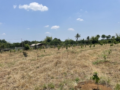 3005m2 có 100 thổ cư, ấp 4, Bình Lộc, Long Khánh
