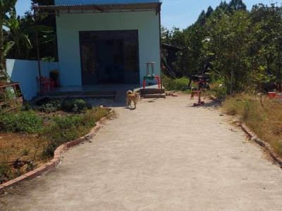 3028m2 đất cách nhựa 30m, Bầu Cối, Bảo Quang