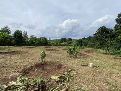 4300m2 có 300 thổ Hàng Gòn, Long Khánh, Đồng Nai