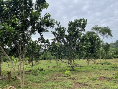 5000m2 có 100 thổ cư, ấp Đồi Rìu, xã Hàng Gòn, Long Khánh