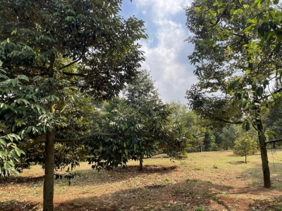 6235m2 có 2MT nhựa Xuân Lập, Long Khánh