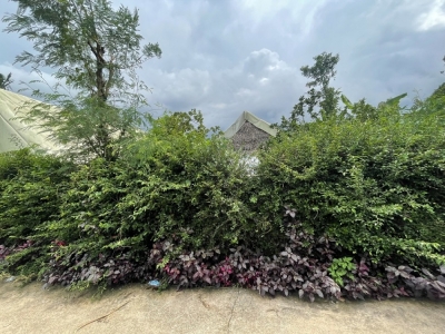 958m2 QH hồng, Bàu Cối,Bảo Quang, Long Khánh
