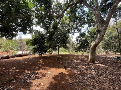 Bán đất 2963 m2, 150 thổ cư, phường Xuân Lập, Long Khánh .