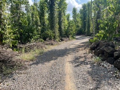 Bán đất 3033m2  Tân Thủy, Bàu Sen, Long Khánh, Đồng Nai