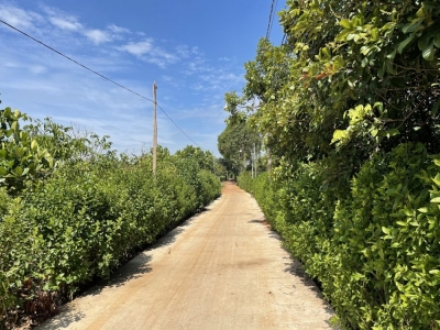 Bán đất ấp 3, Bình Lộc, Long Khánh cách nhựa 300m