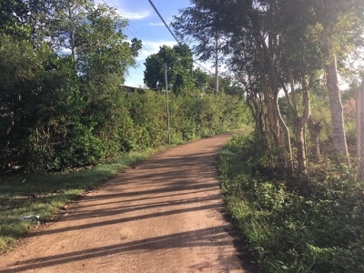 Bán đất bảo quang 1.1 mẫu giá 800 triệu/ sào có 130m mặt tiền