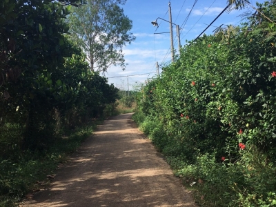 Bán đất Bảo Quang 1000m2 có 30m mặt tiền bê tông