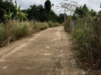 Bán đất Bàu Cối, Bảo Quang 24.560 m2 giá 900 triệu 1 sào