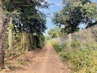 Bán đất Bàu Sen, Long Khánh 1000m2, có  100m thổ cư