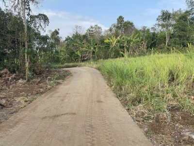 Bán đất Bàu Sen, Long Khánh 1813m2 , có 30m mặt tiền bê tông