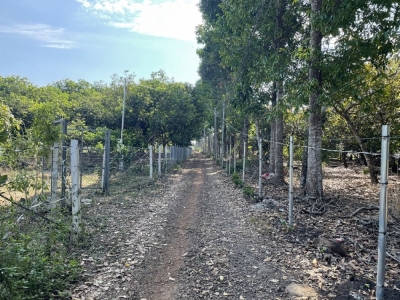 Bán đất Bình Lộc, Long Khánh 1089m2, giá 1.5 tỷ