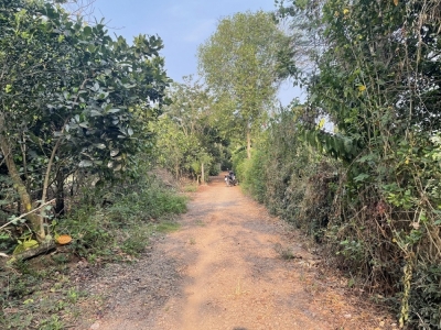 Bán đất Bình Lộc, Long Khánh 1908m2 có 100 thổ cư