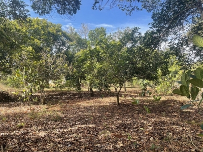 Bán đất Bình Lộc, Long Khánh 1993m2 cách nhựa 200m.