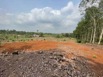 Bán đất Hàng Gòn, Long Khánh 6400 m2 giá 550 triệu/ sào