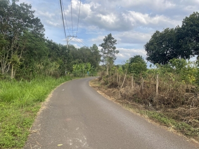 Bán đất Long Khánh, phường Bàu Sen 118m2 gía 450 triệu