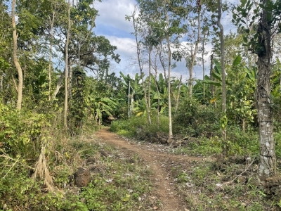 Bán đất Long Khánh phường Bàu Sen , Ấp Núi Đỏ 850 triệu/ sào