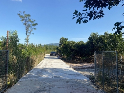 Bán đất Thọ An, Bảo Quang 4000m2 giá 800 triệu/sào