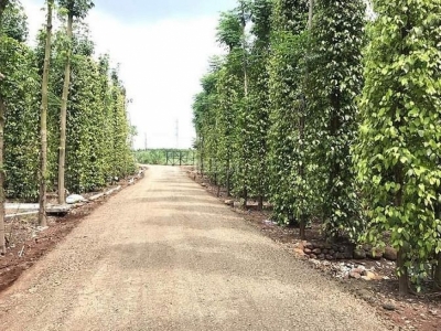 Bán đất xã Bảo Quang, thành phố Long Khánh diện tích 2000m2