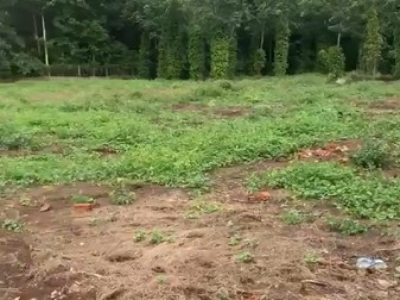 Bán đất xã Hưng Lộc, huyện Trảng Bom, Đồng Nai 3000m2 2 mặt tiền