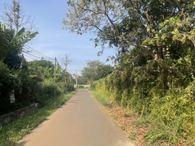 Bán đất Xuân Lập, Long Khánh 597 m2,20m mặt tiền