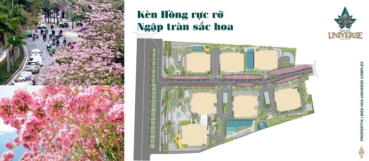 8 Dự Án Biên Hòa Universe Complex 