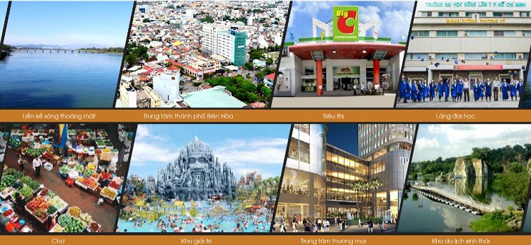 3 Dự Án The Pegasus Residence
